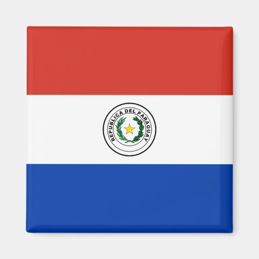 Flagge Paraguays Magnet (Vorne)