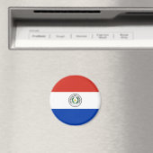 Flagge Paraguays Magnet (In Situ (Geschirrspüler))