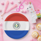 Flagge Paraguays Pappteller (Party)