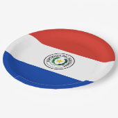 Flagge Paraguays Pappteller (Schrägansicht)
