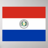 Flagge Paraguays Poster (Vorne)