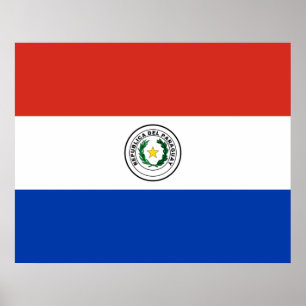 Flagge Paraguays Poster