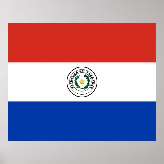 Flagge Paraguays Poster (Vorne)