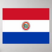 Flagge Paraguays Poster (Vorne)