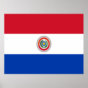 Flagge Paraguays Poster