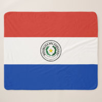 Flagge Paraguays