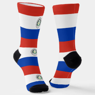 Flagge Paraguays Socken