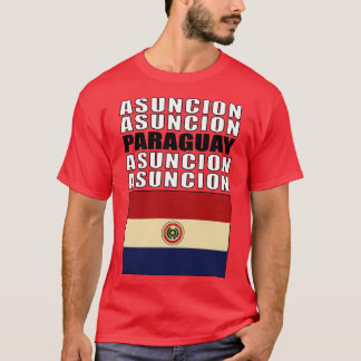 Flagge Paraguays T-Shirt