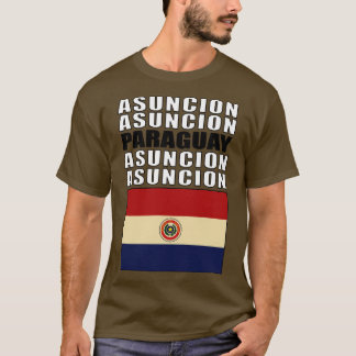 Flagge Paraguays T-Shirt
