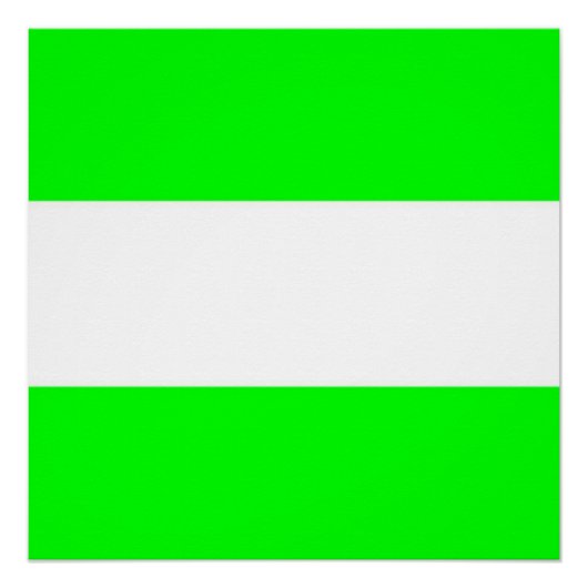 Flagge Rotterdams Poster (Vorderseite)