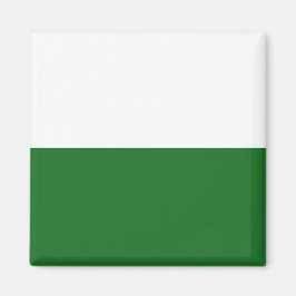 Flagge Sachsens (deutscher Staat) Magnet