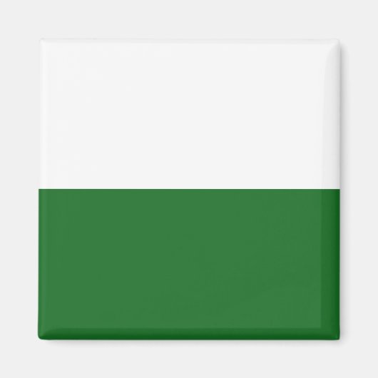 Flagge Sachsens (deutscher Staat) Magnet (Vorne)