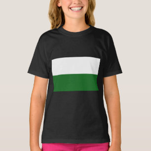 Flagge Sachsens (deutscher Staat) T-Shirt