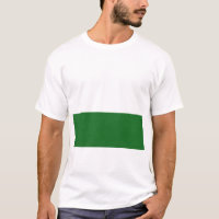 Flagge Sachsens (deutscher Staat)