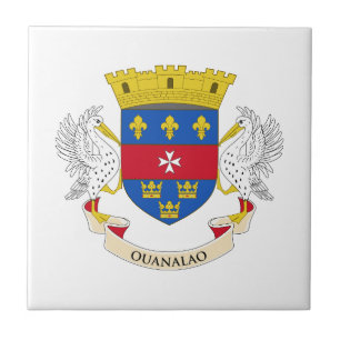 Flagge Saint Barthélemy Fliese