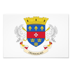 Flagge Saint Barthélemy Fotodruck