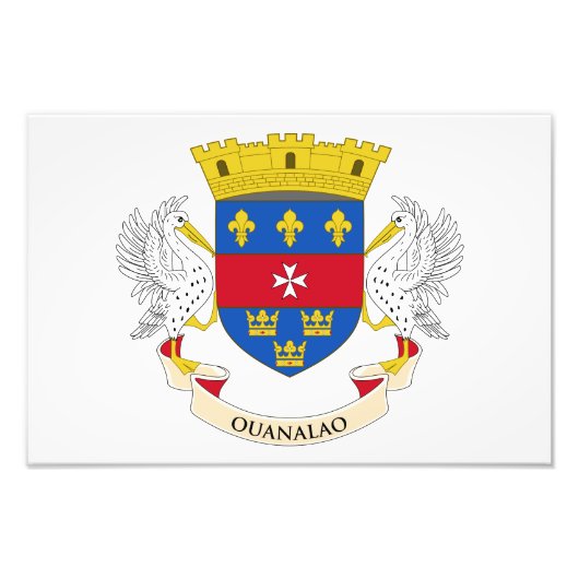 Flagge Saint Barthélemy Fotodruck (Vorne)