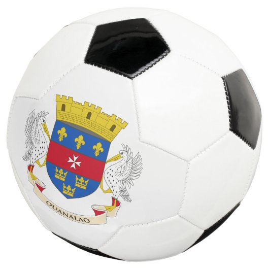 Flagge Saint Barthélemy Fußball (Dreiviertel)