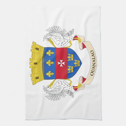 Flagge Saint Barthélemy Geschirrtuch (Vertikal)