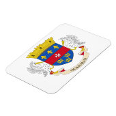 Flagge Saint Barthélemy Magnet (Linke Seite)