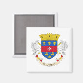 Flagge Saint Barthélemy Magnet (Vorderseite/Rückseite)