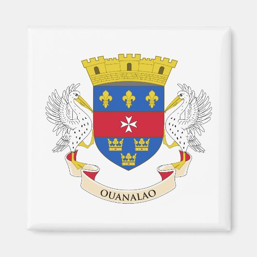 Flagge Saint Barthélemy Magnet (Vorne)