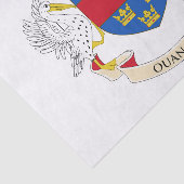 Flagge Saint Barthélemy Seidenpapier (Ausschnitt)