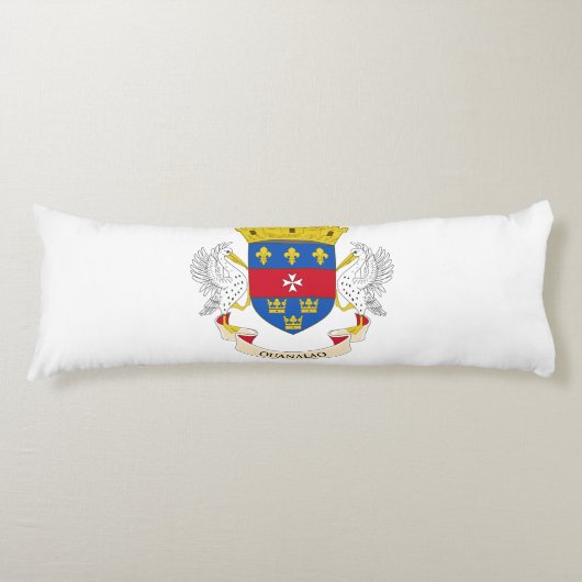 Flagge Saint Barthélemy Seitenschläferkissen (Vorderseite)