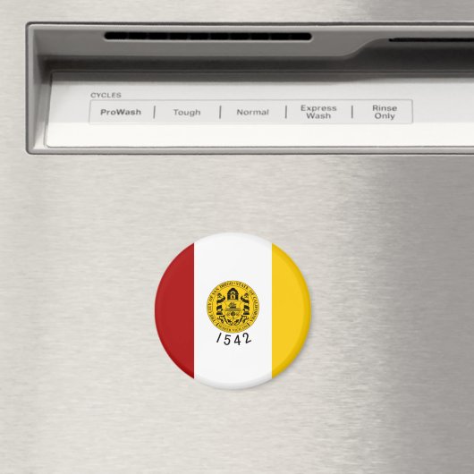 Flagge San Diego Magnet (In Situ (Geschirrspüler))