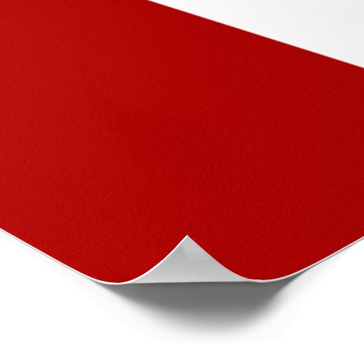 Flagge San Diego Poster (Ecke)