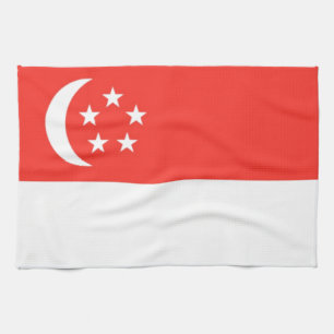 Flagge Singapurs Geschirrtuch