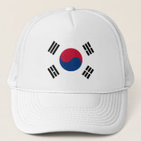 Flagge Südkoreas - 태 극 기 - 대 한 국 민 의국.