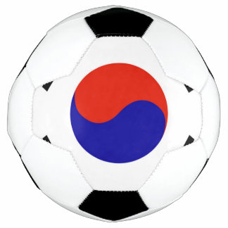 Flagge Südkoreas Fußball