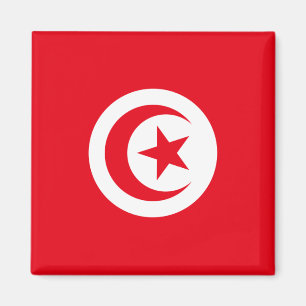 Flagge Tunesiens Magnet