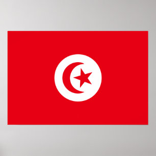 Flagge Tunesiens Poster