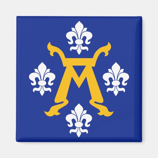 Flagge Turku, Finnland Magnet (Vorne)