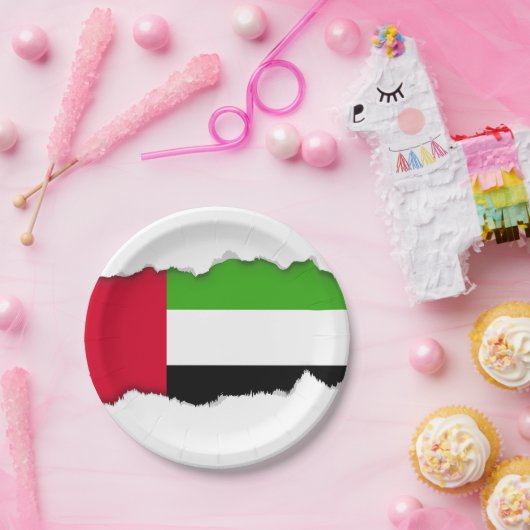 Flagge UAE Arabische Emirate Pappteller (Party)