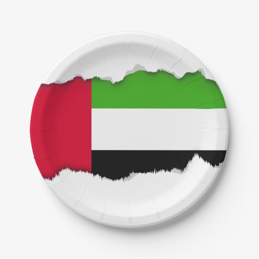 Flagge UAE Arabische Emirate Pappteller (Vorderseite)