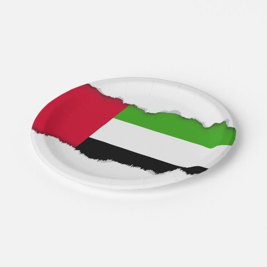 Flagge UAE Arabische Emirate Pappteller (Schrägansicht)