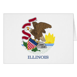 Flagge und Siegel von Illinois