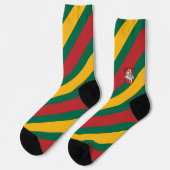 Flagge und Wappen Litauens Socken (Linkes Detail)