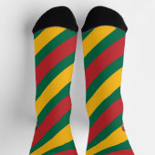 Flagge und Wappen Litauens Socken (Oben)