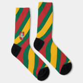 Flagge und Wappen Litauens Socken (Rechts)