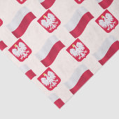 Flagge und Wappen Polen Seidenpapier (Ausschnitt)