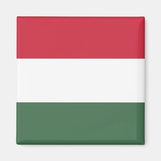 Flagge Ungarns Magnet (Vorne)