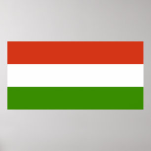 Flagge Ungarns Poster