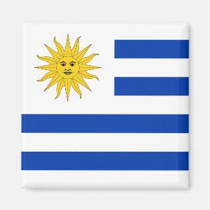 Flagge Uruguays (Uruguayan) Magnet