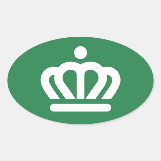 Flagge (Variante) von Charlotte, NC Ovaler Aufkleber (Vorderseite)