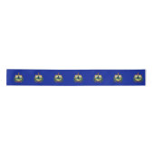 Flagge Vermont Satinband (Vorderseite)