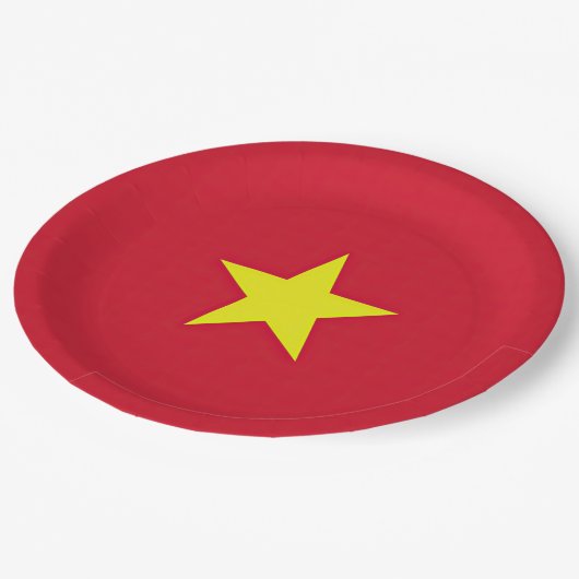 Flagge Vietnam Pappteller (Schrägansicht)